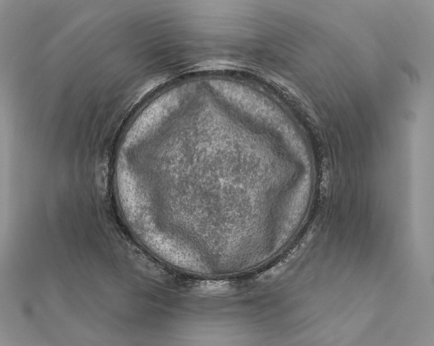 X0000112351313200909031841