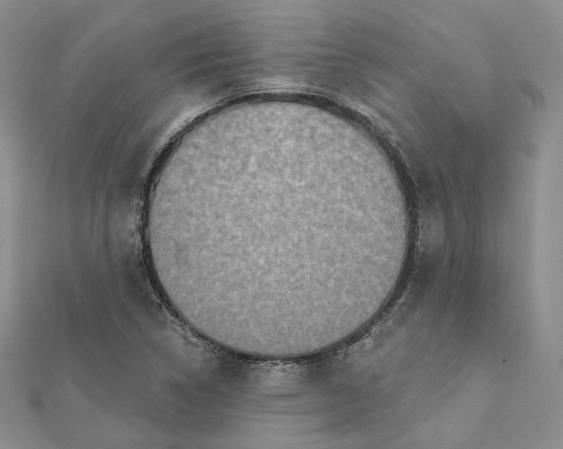 X0000112351314200909031841