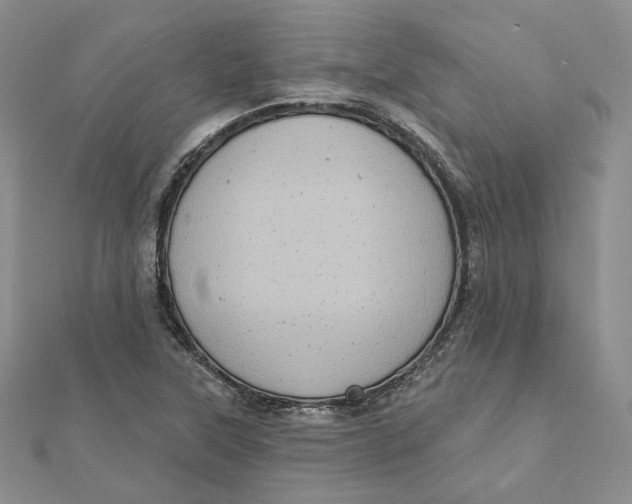 X0000112351315200909031841