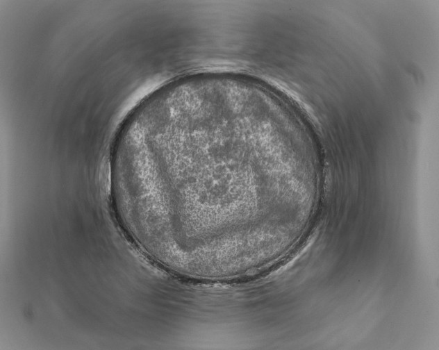 X0000112351317200909031841