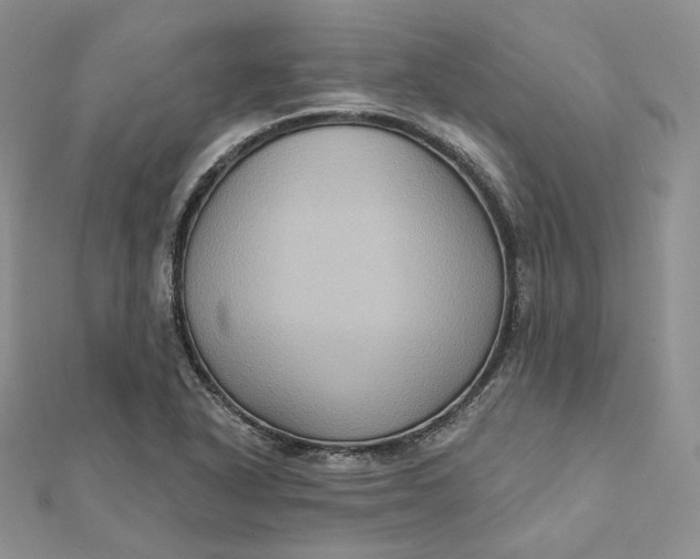 X0000112351318200909031841