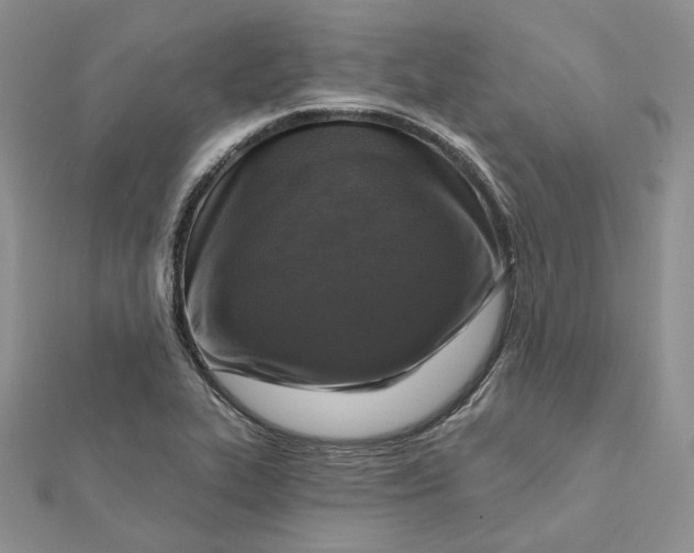 X0000112351319200909031841