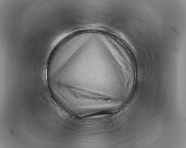 X0000112351320200909031841