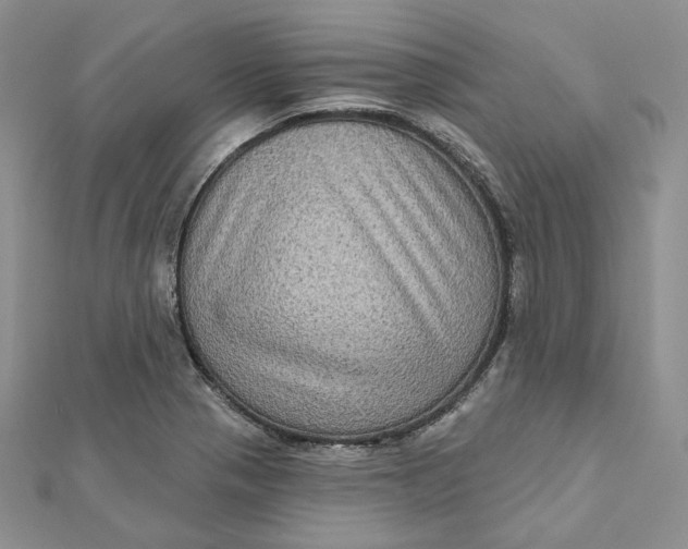 X0000112351321200909031841