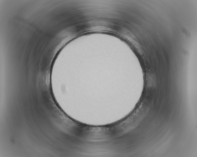 X0000112351322200909031841