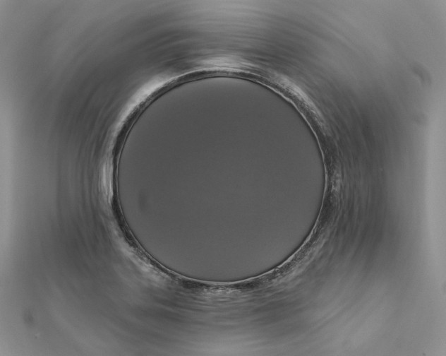 X0000112351323200909031841