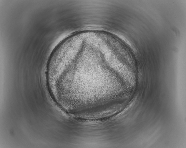 X0000112351325200909031841