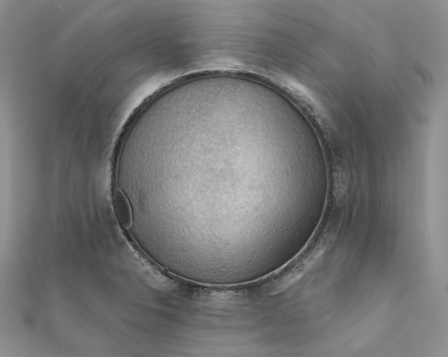 X0000112351326200909031841