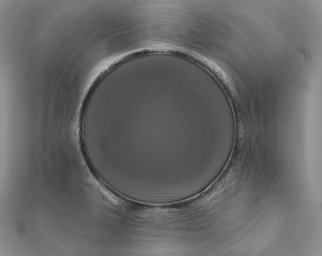 X0000112351327200909031841