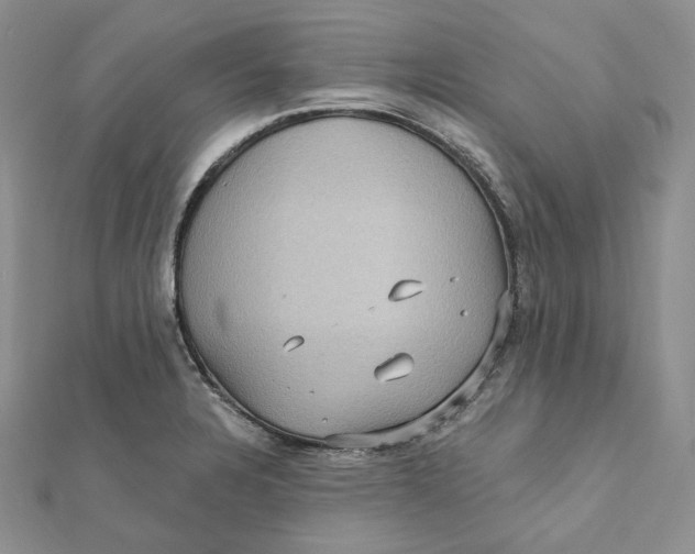 X0000112351328200909031841