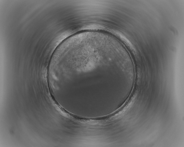 X0000112351329200909031841