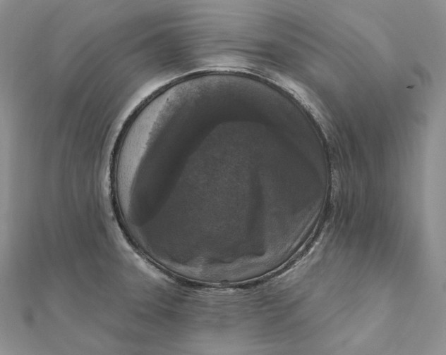 X0000112351331200909031841