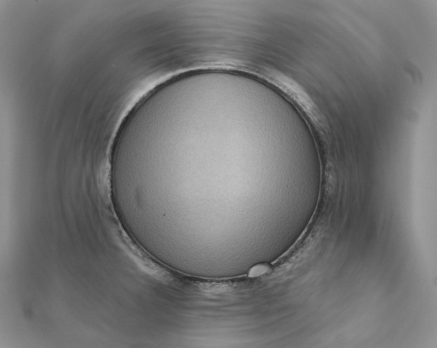 X0000112351332200909031841