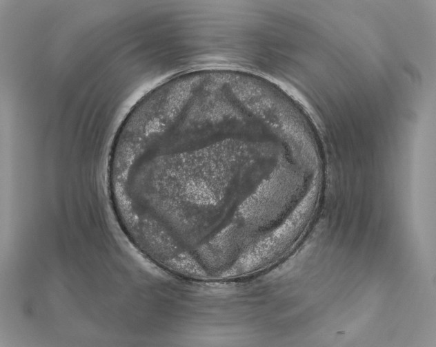 X0000112351333200909031841