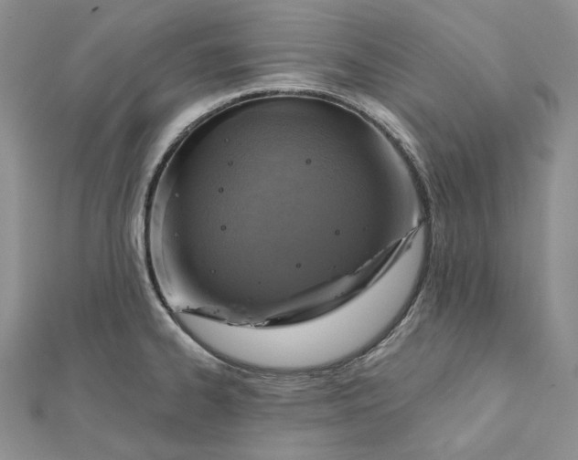 X0000112351334200909031841