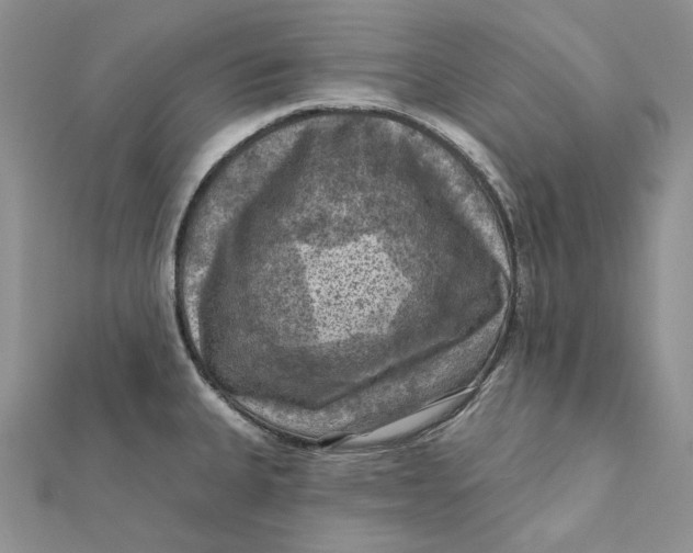 X0000112351335200909031841