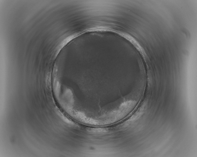 X0000112351337200909031841