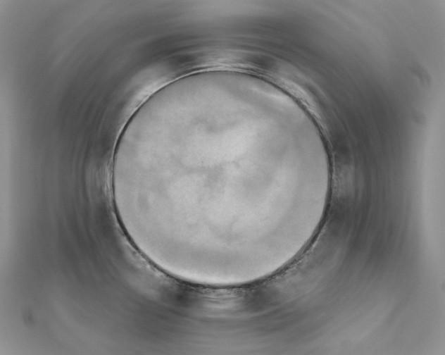 X0000112351338200909031841