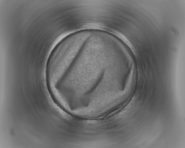 X0000112351339200909031841