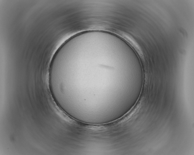 X0000112351340200909031841