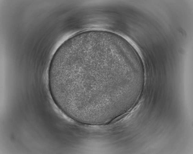 X0000112351341200909031841