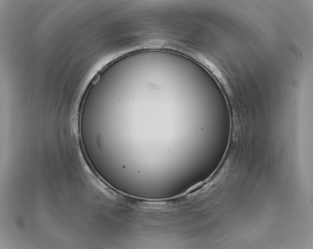 X0000112351342200909031841