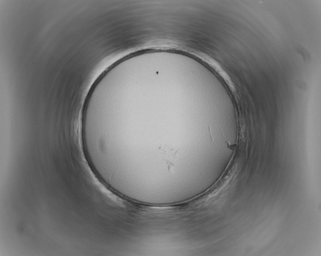 X0000112351343200909031841