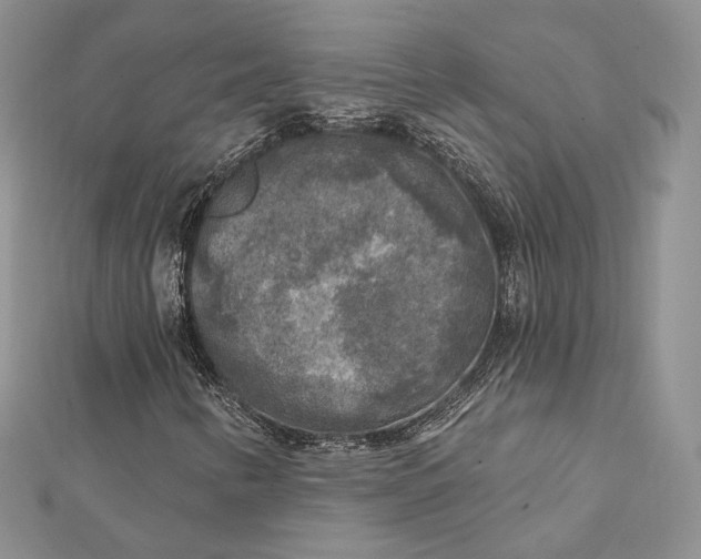 X0000112351346200909031840