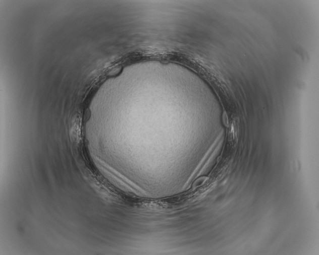 X0000112351348200909031840