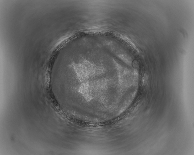 X0000112351350200909031840