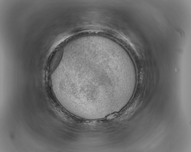 X0000112351352200909031840