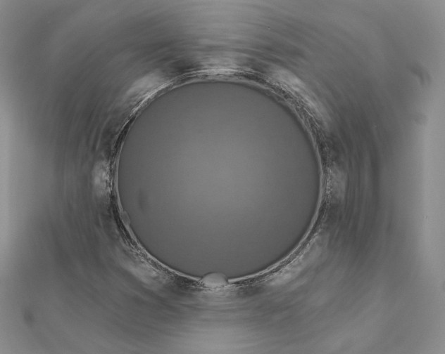 X0000112351353200909031840