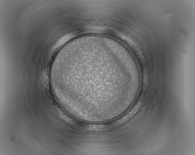 X0000112351354200909031840