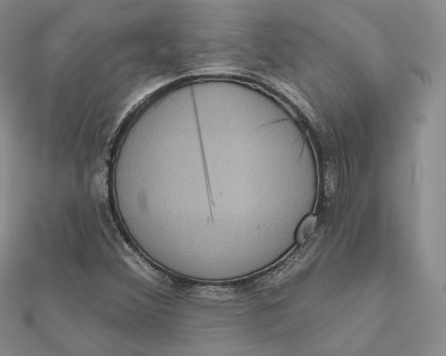 X0000112351356200909031840