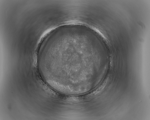 X0000112351358200909031840