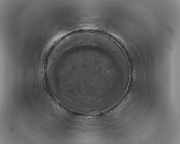 X0000112351359200909031840