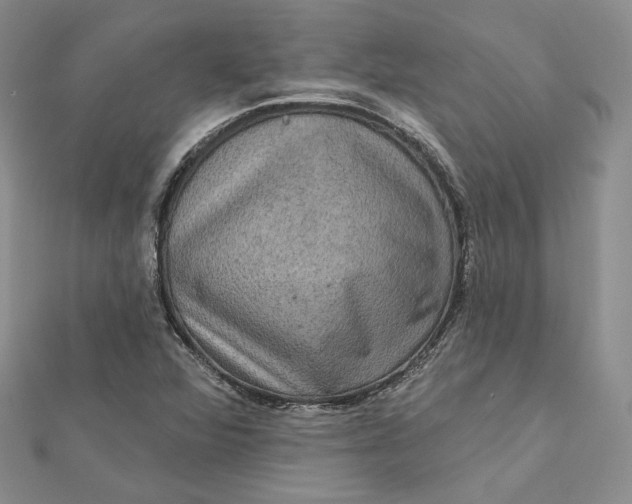 X0000112351360200909031840