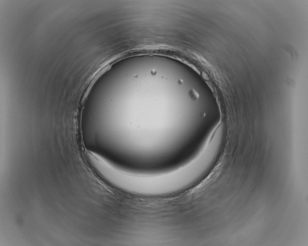 X0000112351361200909031840