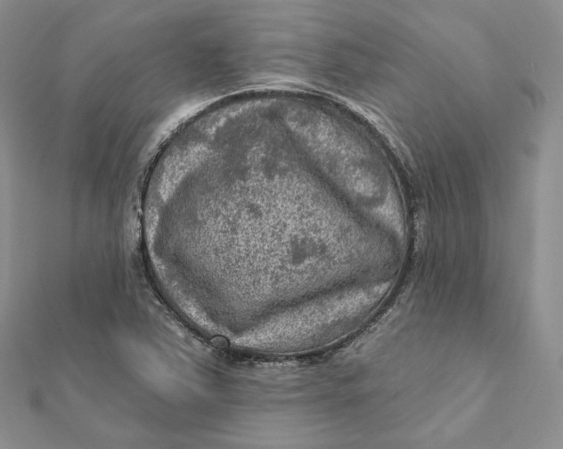 X0000112351363200909031840