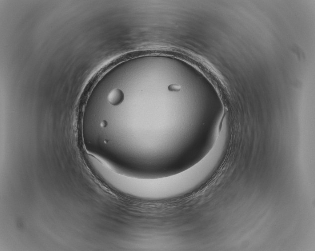 X0000112351364200909031840