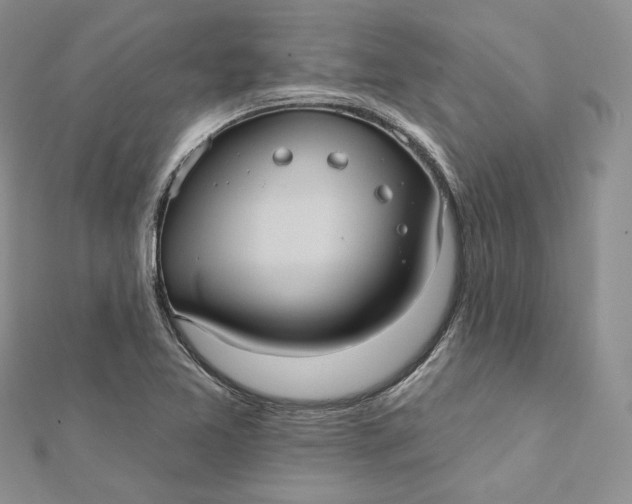 X0000112351365200909031840