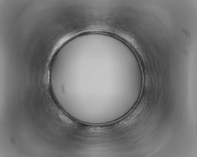 X0000112351366200909031840