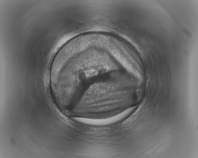 X0000112351367200909031840