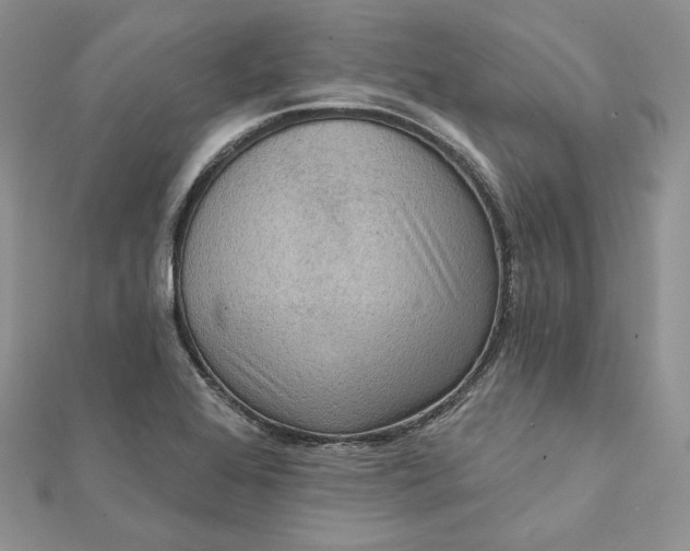 X0000112351368200909031840