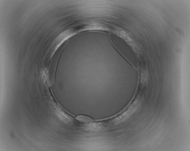 X0000112351369200909031840