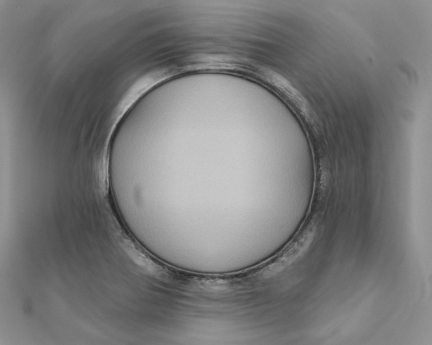 X0000112351370200909031840