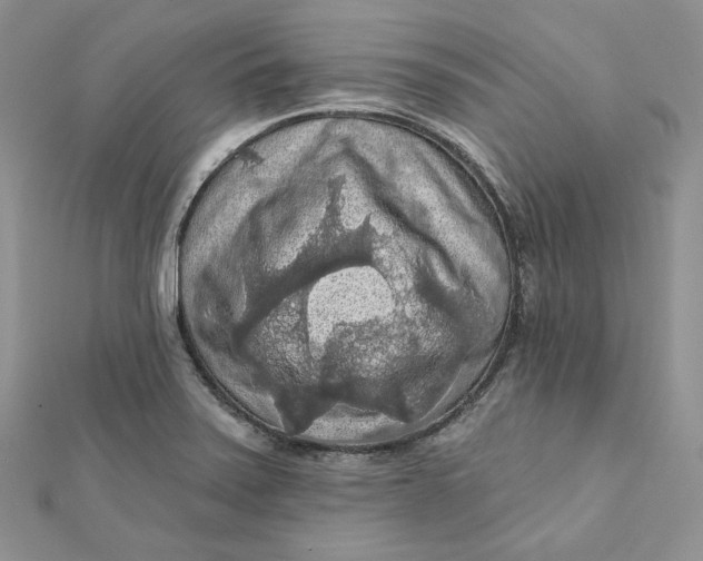 X0000112351371200909031840