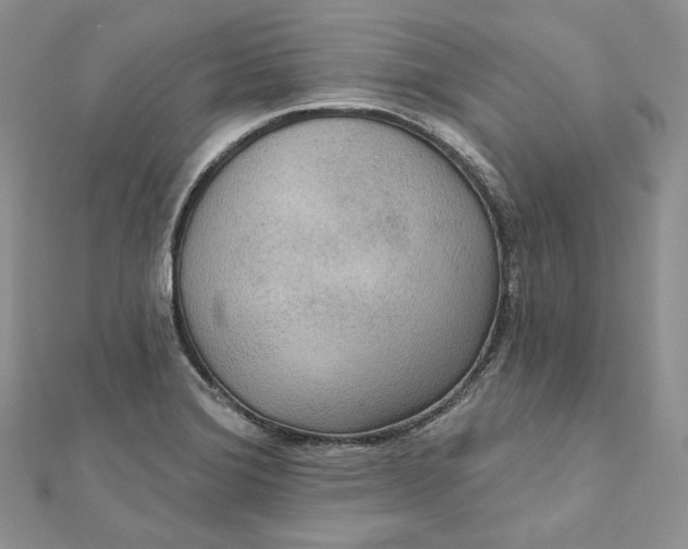 X0000112351372200909031840