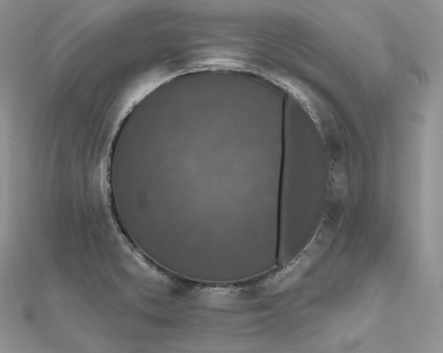 X0000112351373200909031840