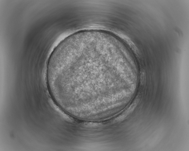 X0000112351374200909031840